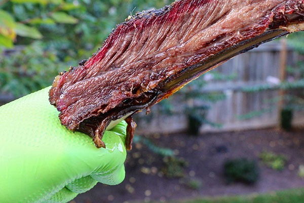 green gloveworks hd nitrile gloves holding beef rib