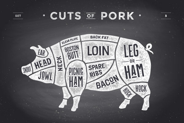 diagram of pig showing cuts of pork