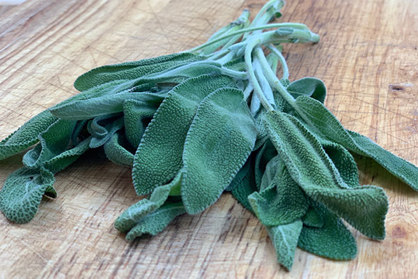 sage-ingredient-sage-butter-recipe