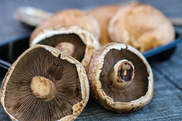 cleaned portobello mushroom for crab stuffed mushroom recipe