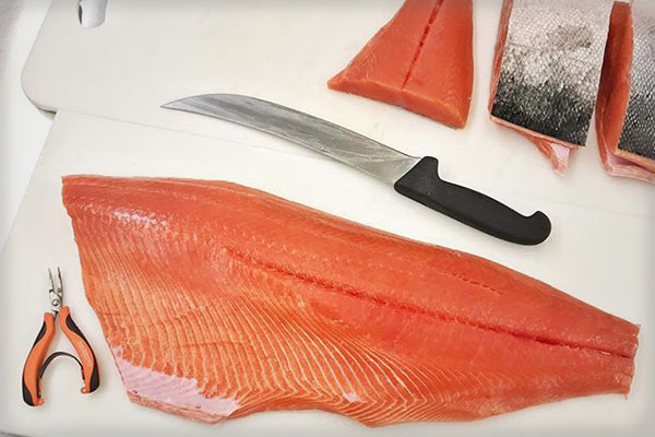 Traveler Terpening's tools for hand filleting Alaskan salmon