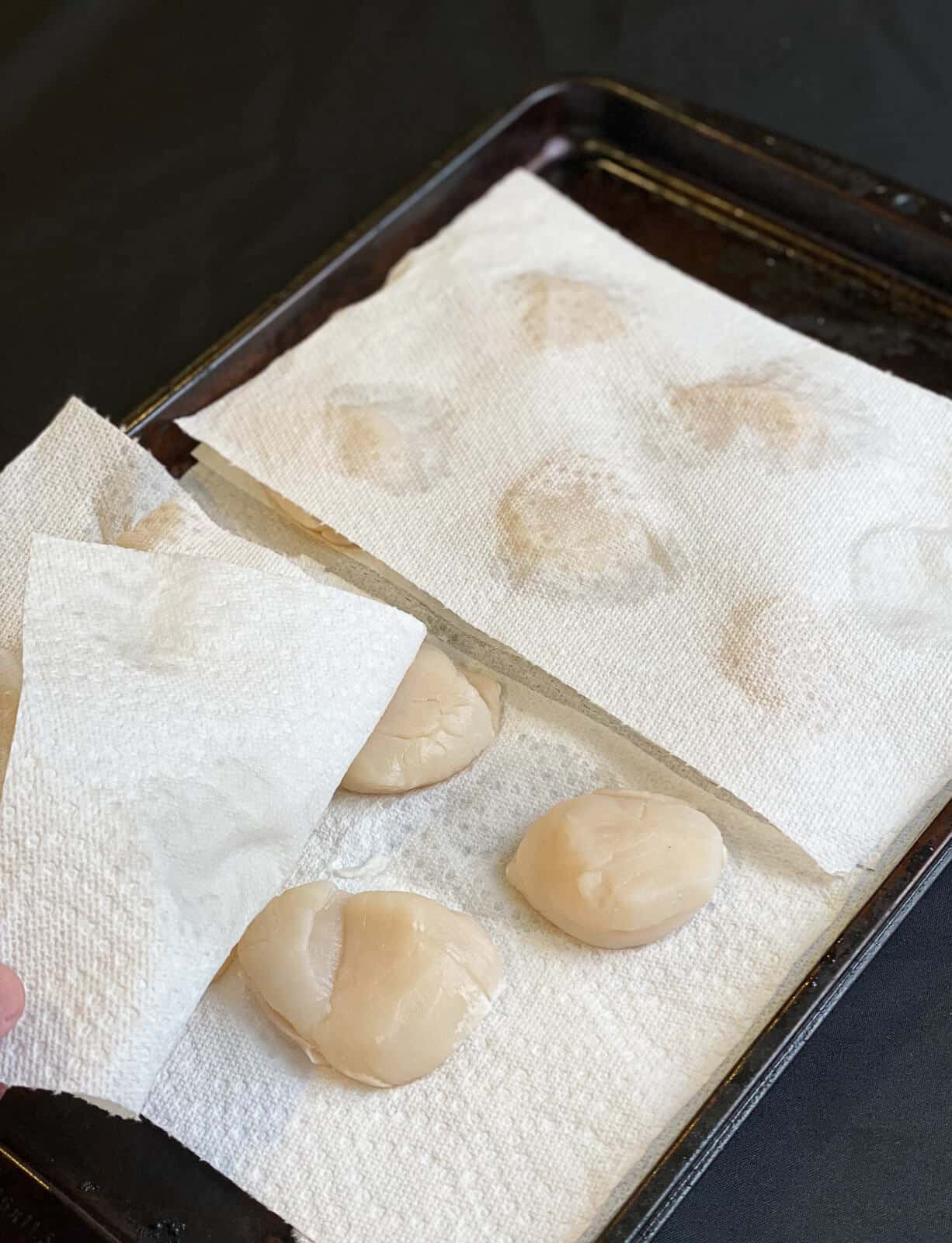 raw scallops on paper towels being dreid