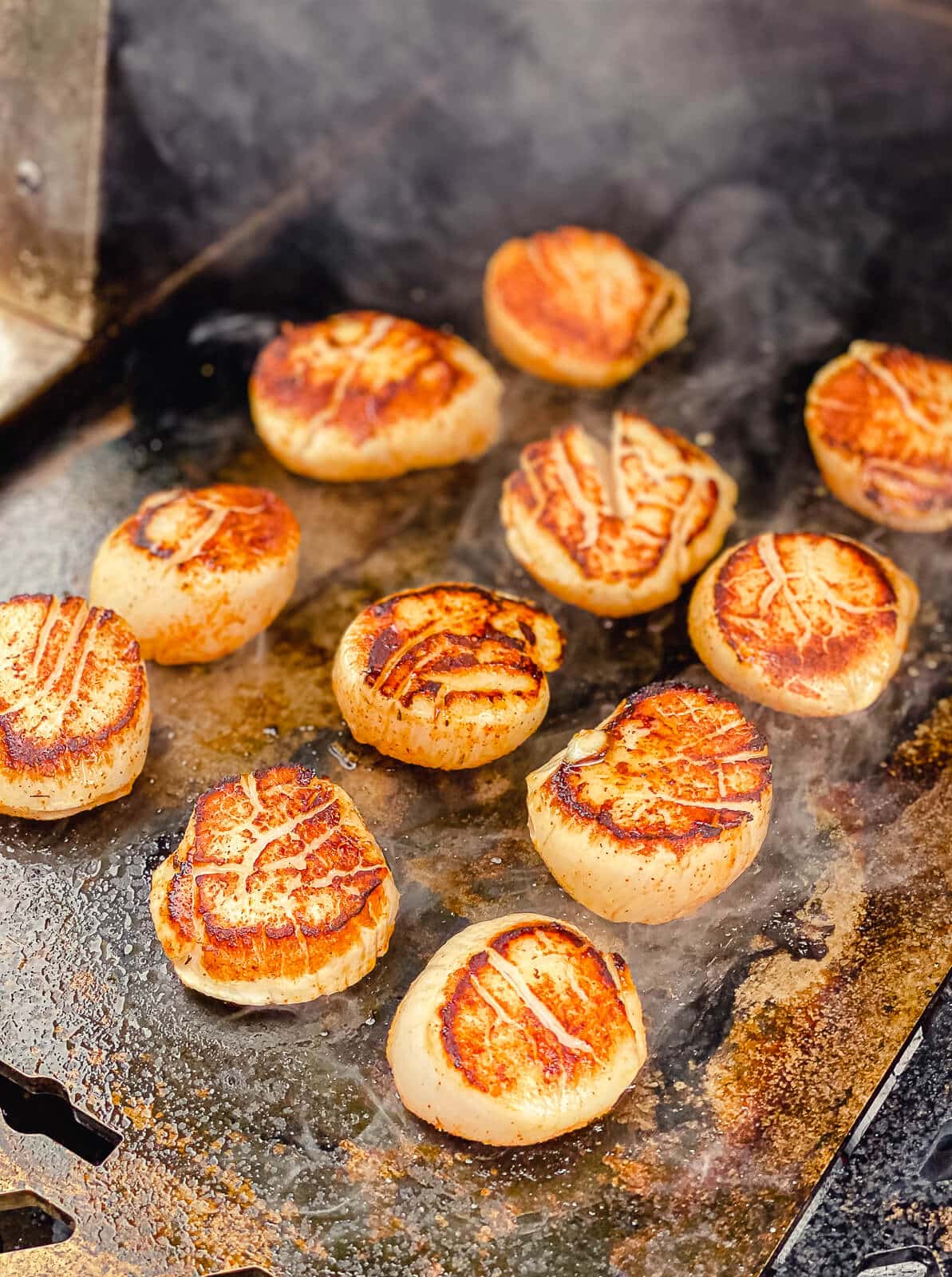 searing scallops on a griddle surface