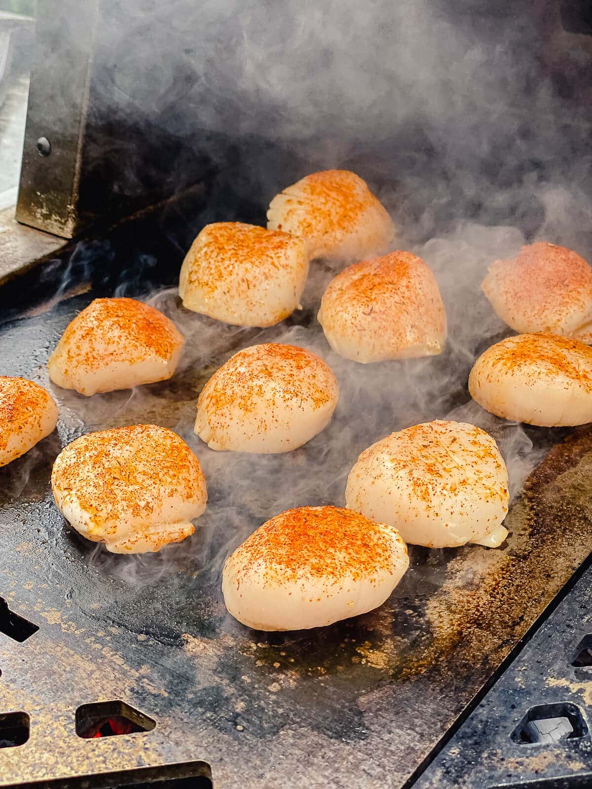 scallops on a griddle being seared