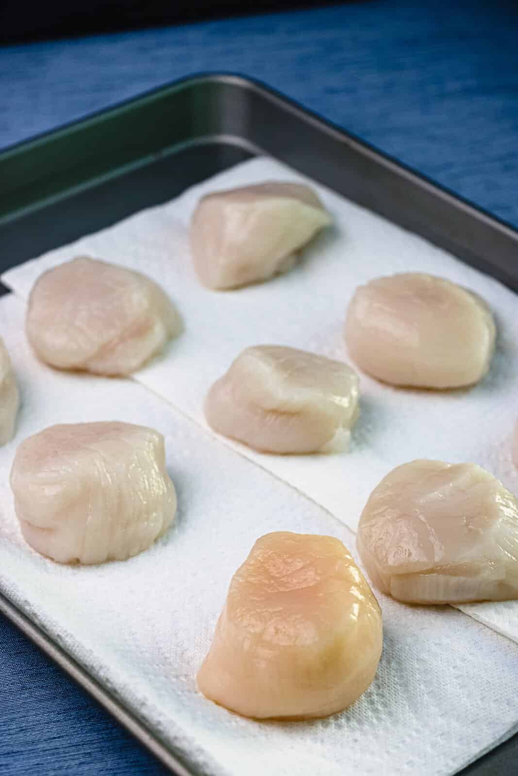raw scallops on paper towels