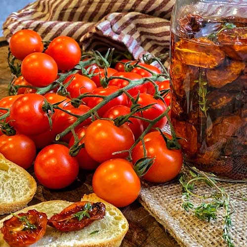 Roasted Tomatoes ready for eating or storage