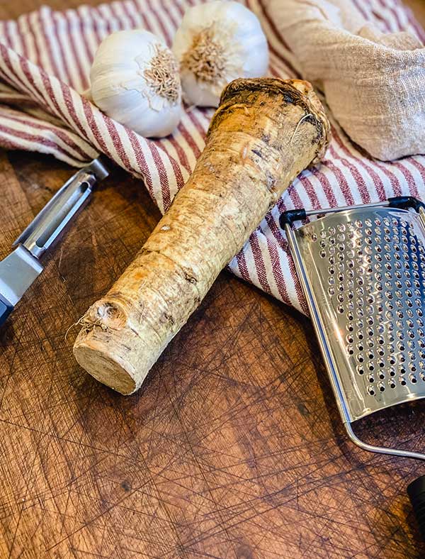 fresh horseradish root