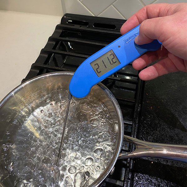 ThermoWorks Thermapen ONE Review - From Foodie with Love