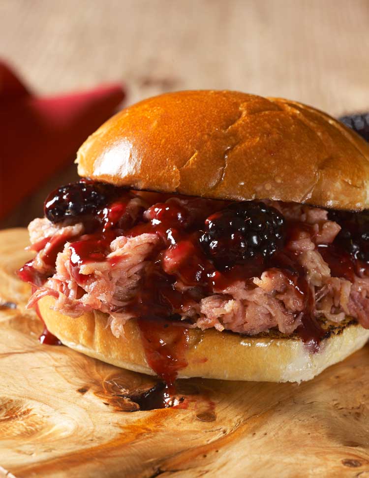 pulled pork sandwich with barbecue sauce