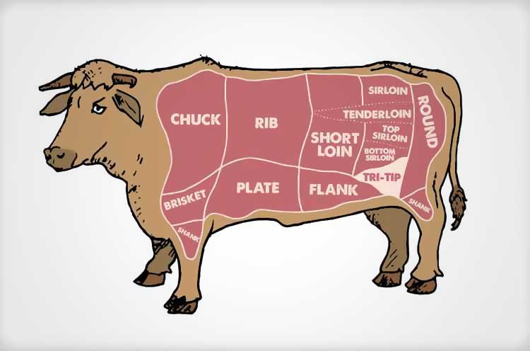 Thermoworks chart showing where tri-tip comes from at the bottom of a cow and how it got its name from its shape.
