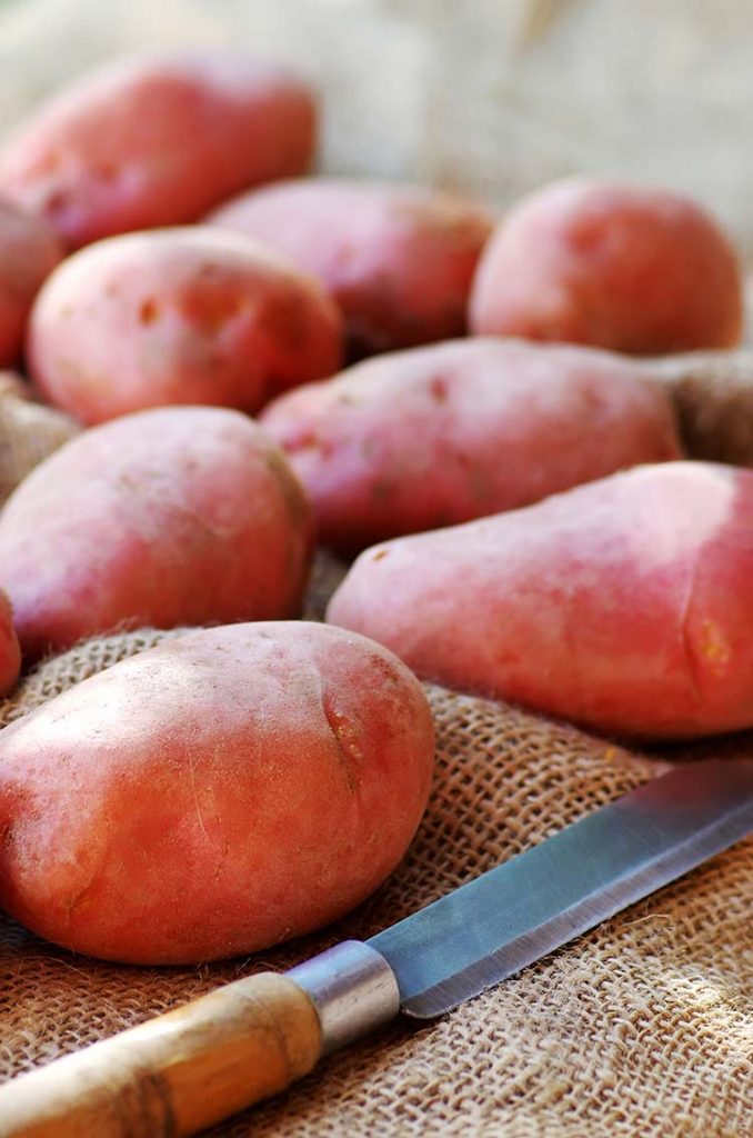 baby red potatoes