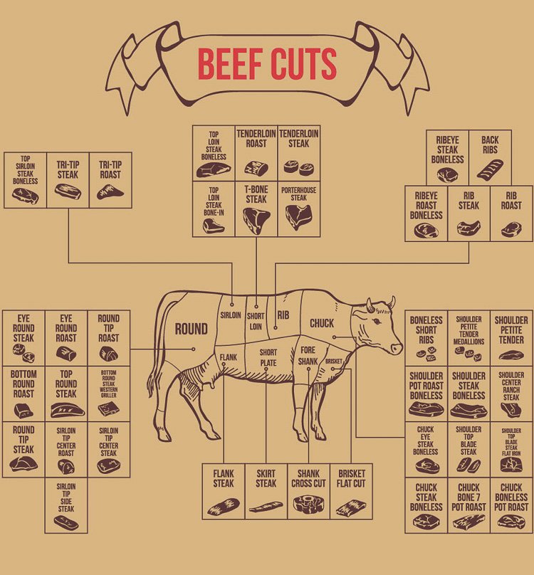 diagram of beef cuts showing chuck roast