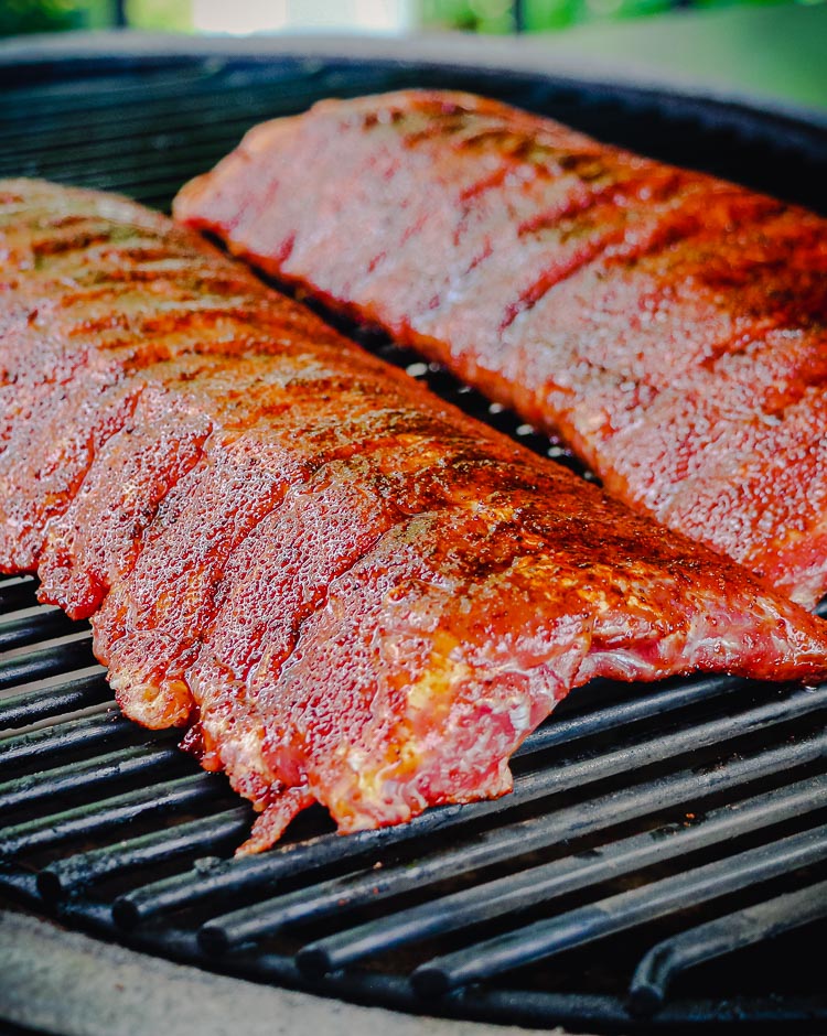 barbecue baby back ribs closeup