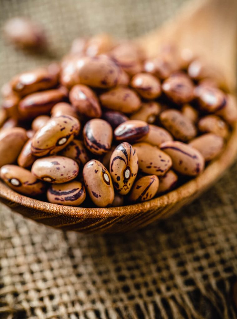 spoon full of dried pinto beans