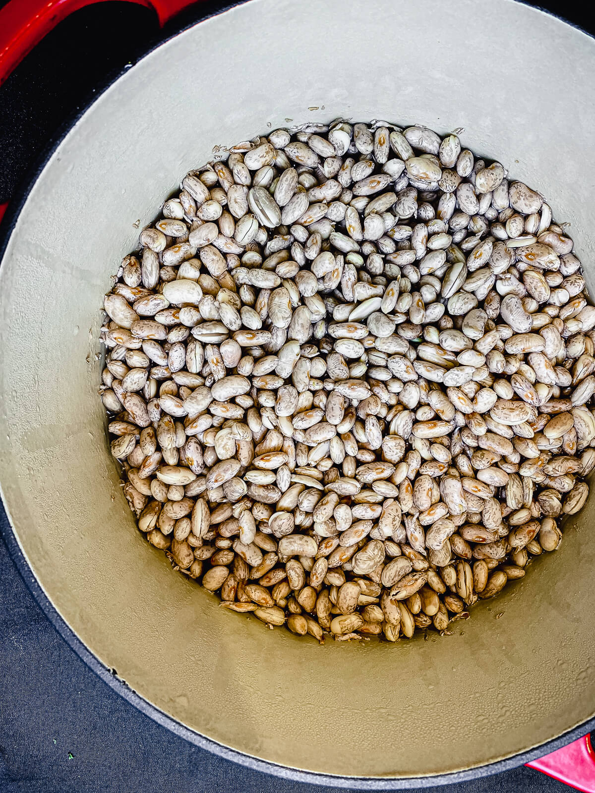 pot of pinto beans after beans have soaked for several hours