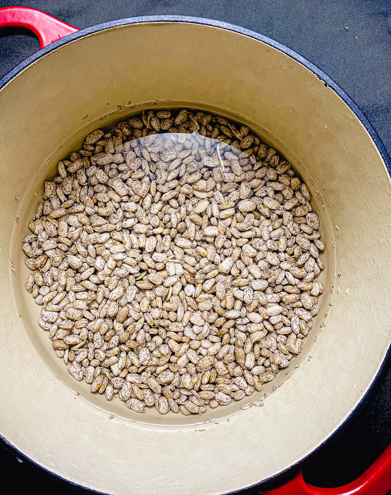 Pot of beans soaking under water