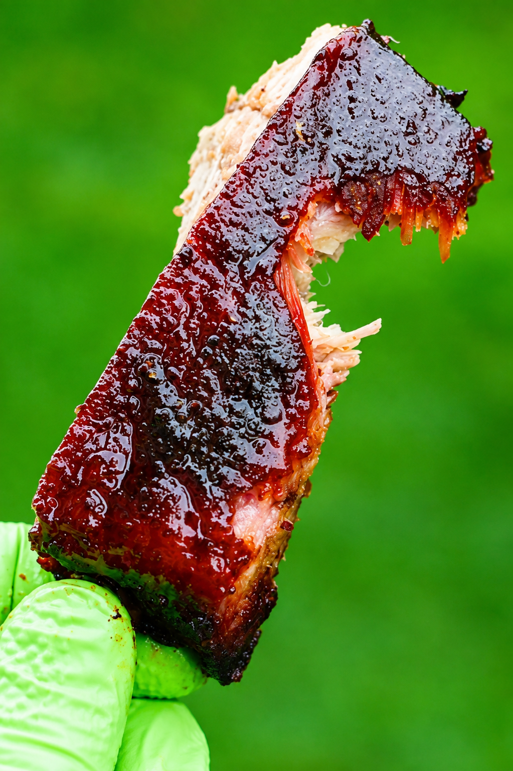 Smoked pork spare rib with a bite taken out of it.
