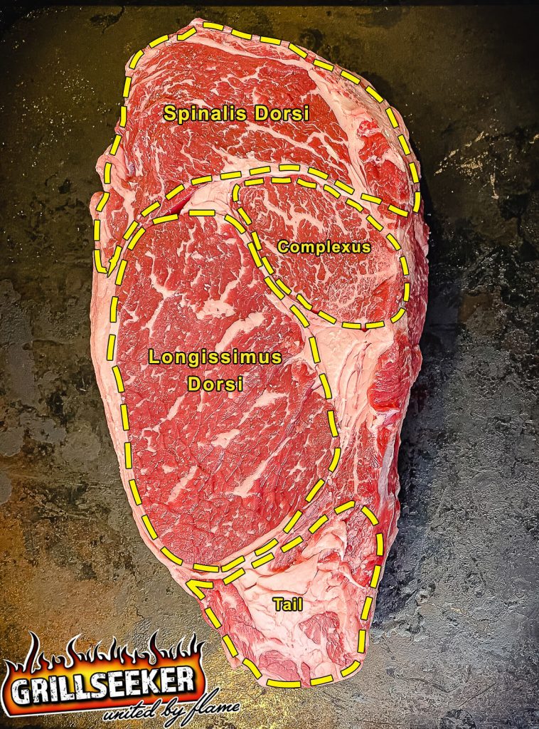 diagram of the muscles in a ribeye steak