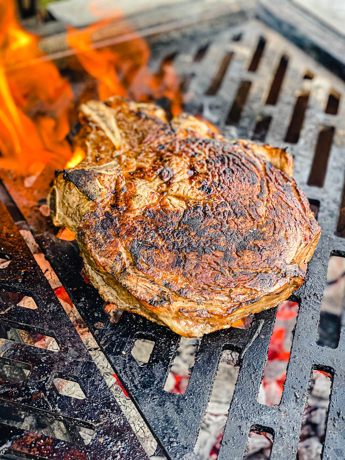 rhow to grill a ribeye steak over coals