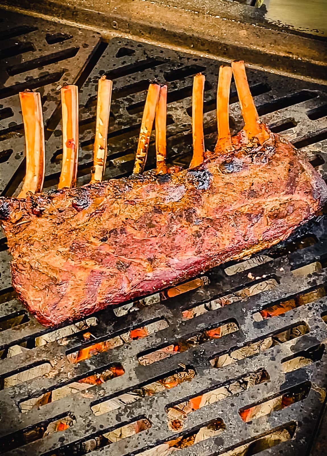 venison rack searing on a grill