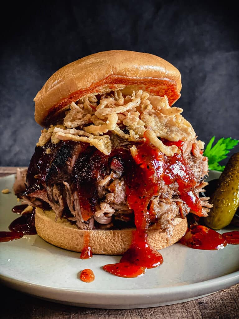 pulled pork sandwich topped with bbq sauce and crispy onions