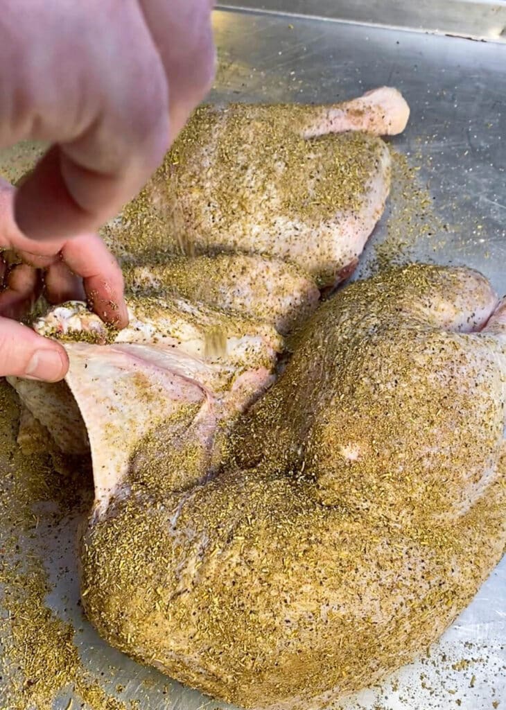 seasoning a turkey for roasting