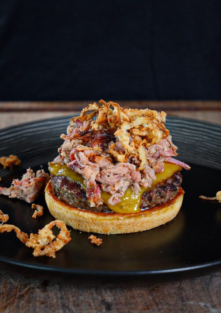 bbq pulled pork burger with crispy onions on top